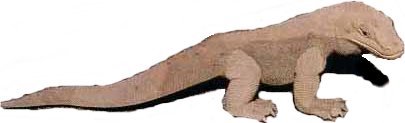 Hinweis 3.jpg