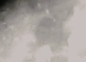 was_ist_das.jpg (30.05 KiB) 10578 mal betrachtet was_ist_das.jpg