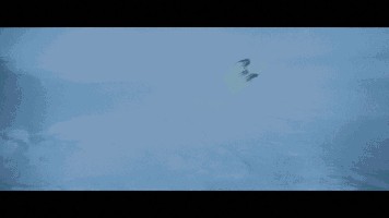 01_2.jpg (47.84 KiB) 6572 mal betrachtet 01_2.jpg