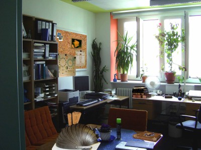 IMG_6932.jpg