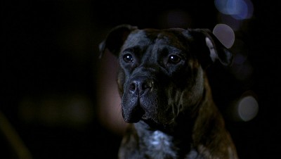 PDVD_008.jpg (72.52 KiB) 8818 mal betrachtet PDVD_008.jpg