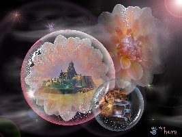 Blütenfantasie.jpg (217.88 KiB) 8243 mal betrachtet Blütenfantasie.jpg